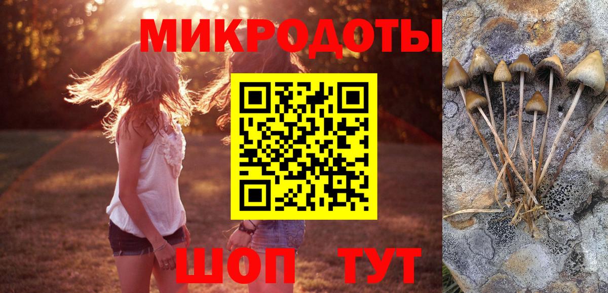 Россошь  Галлюциногенные грибы ЛСД  Галлюциногенные грибы мицелий  Вход с VPN 