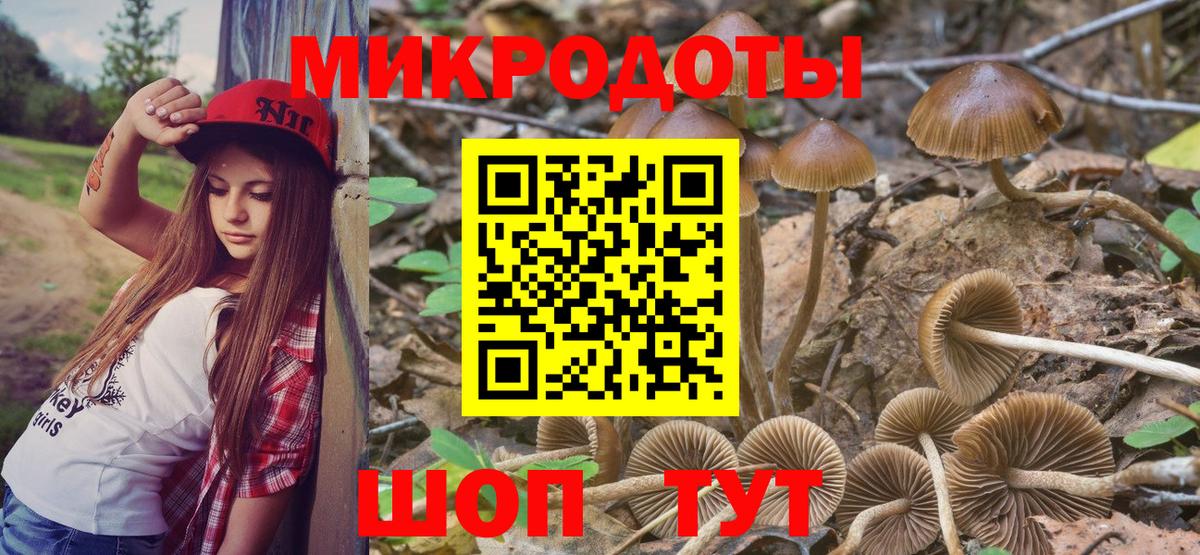 Галлюциногенные грибы Psilocybine cubensis Россошь